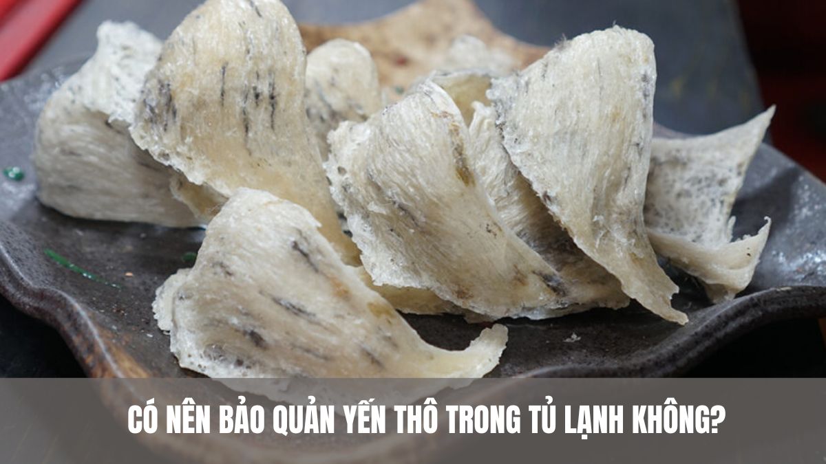 Có nên bảo quản yến thô trong tủ lạnh không? Giải đáp chi tiết